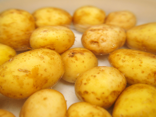 포토 JPG 해외이미지 전통 음식 백그라운드 다이어트 채소 재료 자연 주전자 감자 요리 사람없음 물 노란색 정원 꽃병 식사 저녁식사 껍질 신선 최고 조끼 닫기 냄비 상품 자르기 준비 날것 슛 고립 끓이기 똑같은 바이오 채식주의자 많음 해외202004 해외포토 자연요소 꽃 컬러 컨셉 모션 주방용품 건강 외투 솥 생태계 채식 파일형식 이미지허브