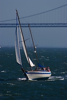 포토 JPG 해외이미지 스포츠 파도 바다 여행 요트 교통시설 모션 자연 하늘 바람 휴가 항해 사람없음 야외 물 파란색 여행객 맑음 흰색 도시 만 보트 속도 함선 캘리포니아 태평양 레가타 샌프란시스코 해외202004 해외포토 자연요소 컬러 교통 배_교통 날씨 사람 미국 시설 생태계 파일형식 이미지허브