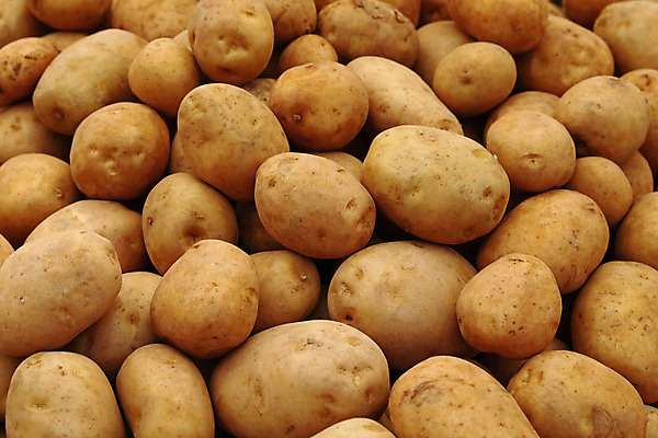 포토 JPG 해외이미지 음식 백그라운드 패턴 농업 채소 재료 새로움 감자 건강 사람없음 농작물 농장 노란색 수확 흰색 신선 시장 닫기 유기농 질감 날것 각도 소매 흙더미 많음 해외202004 해외포토 웰빙 산업 컬러 컨셉 무늬 모션 흙 파일형식 더미 이미지허브