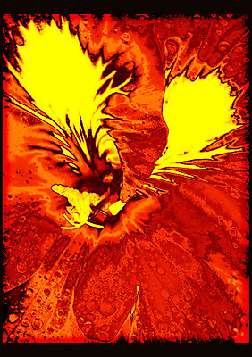 포토 JPG 해외이미지 식물 디자인 꽃 행복 분홍색 백그라운드 잎 꽃무늬 일러스트 자연 추상 발렌타인데이 미술 사람없음 빨간색 초록색 물 여름 빛 컬러풀 태양 정원 맑음 보라색 어둠 봄 벚꽃 가을 축하 신선 신용카드 백합 강렬 스타일 해외202004 해외포토 자연요소 계절 감정 컬러 컨셉 무늬 데이이벤트 날씨 문화예술 금융 생태계 파일형식 이미지허브