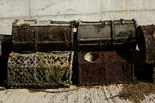 포토 JPG 해외이미지 음식 벽 바다 낚시 바닥 프레임 사람없음 도구 해조류 냄비 바닷가재 망사 중고 콘크리트 항목 해외202004 해외포토 레저 직물 해양식물 솥 가재 파일형식 이미지허브