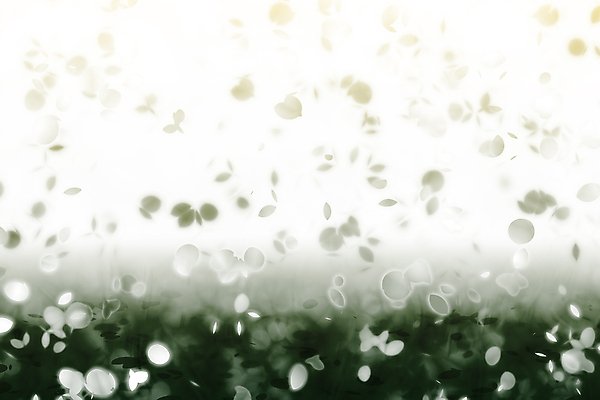 JPG 해외이미지 꽃잎 꽃 백그라운드 일러스트 사람없음 초록색 그라데이션 카피스페이스 해외202004 해외일러스트 식물 컬러 공백 파일형식 이미지허브