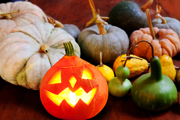 JPG 해외이미지 호박 사람없음 할로윈 오브젝트 잭오랜턴 해외202004 해외포토 포토 채소 파일형식 이미지허브