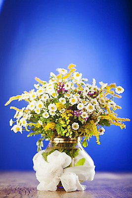 포토 JPG 해외이미지 식물 계절 꽃잎 꽃 분홍색 꽃다발 백그라운드 잎 꽃무늬 밭 자연 유리 탁자 선물 사람없음 목재 초록색 파란색 컬러풀 노란색 정원 꽃병 보라색 봄 들꽃 벚꽃 흰색 개화 그룹 다발 배열 제비꽃 데이지 내추럴 고립 섞기 많음 해외202004 해외포토 나무 컬러 가구 컨셉 무늬 농업 재료 재질 생태계 파일형식 이미지허브