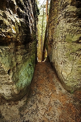 포토 JPG 해외이미지 길 벽 백그라운드 자국 자연 풍경 사람없음 골짜기 어둠 바위 구멍 균열 비밀 통로 좁은 공상 미로 내추럴 깊이 지질학 해외202004 해외포토 교육 컨셉 모션 돌_바위 생태계 파일형식 이미지허브
