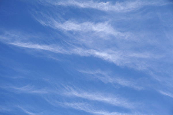 포토 JPG 해외이미지 구름 백그라운드 자연 하늘 날씨 추상 풍경 사람없음 야외 가로 여름 파란색 빛 환경 침묵 봄 회색 자유 흰색 오픈 장면 천국 흐림 염원 천창 해외202004 해외포토 자연요소 계절 컬러 컨셉 무늬 소리 생태계 파일형식 이미지허브