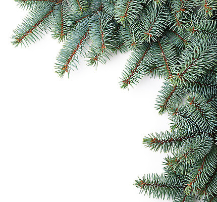 포토 JPG 해외이미지 나무 백그라운드 크리스마스 자연 휴가 새로움 프레임 사람없음 장식 초록색 우주 축제 흰색 나뭇가지 축하 소나무 화려 모서리 연도 심볼 침엽수 고립 가문비나무 카피스페이스 해외202004 해외포토 식물 기념일 컬러 컨셉 공백 생태계 파일형식 이미지허브