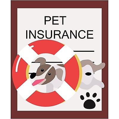 EPS 해외이미지 동물 디자인 배너 포스터 여행 백그라운드 일러스트 비즈니스 건강 병원 안전 치료 반려동물 세트 알약 약 고양이 플랫 개 강아지 보호 질병 심볼 서비스 사인 이익 주사약 수의사 보험 돌봄 엘리먼트 예방접종 예방주사 아바타 해외202004 해외일러스트 컨셉 포유류 의학 모션 주사기 의사 예방 접종 파일형식 벡터 이미지허브