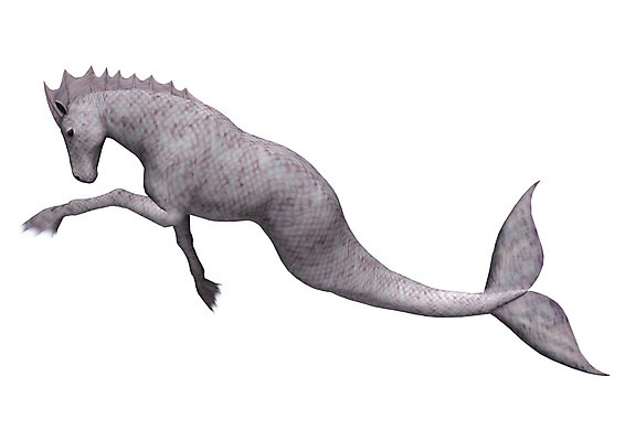 포토 JPG 해외이미지 동물 야생동물 바다 백그라운드 일러스트 자연 생물 사람없음 물 3D 수중 수영 흰색 만들기 고립 해외202004 해외포토 자연요소 컬러 모션 수상스포츠 디지털합성 생태계 파일형식 이미지허브