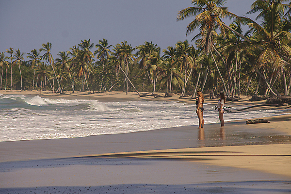 포토 JPG 해외이미지 나무 구름 모래 바다 섬 여행 자연 하늘 손바닥 풍경 사람없음 물 여름 파란색 강 모래사장 태양 일몰 탐험 신선 대서양 내추럴 공화국 도미니카공화국 민물 이국적 코스타리카 파라다이스 해외202004 해외포토 자연요소 식물 손 계절 나라 컬러 노을 남아메리카 중앙아메리카 생태계 파일형식 이미지허브