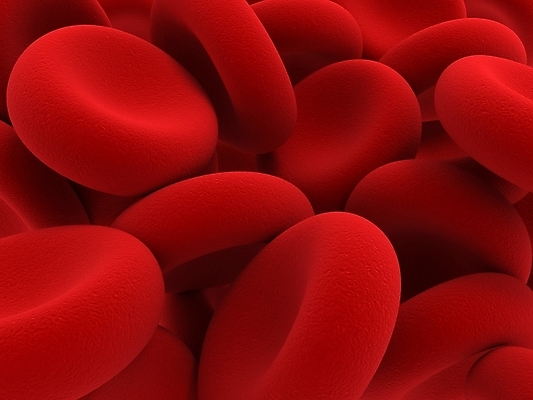 포토 JPG 해외이미지 세포 사람없음 빨간색 3D 적혈구 혈구 해외202004 해외포토 컬러 디지털합성 혈관 파일형식 이미지허브