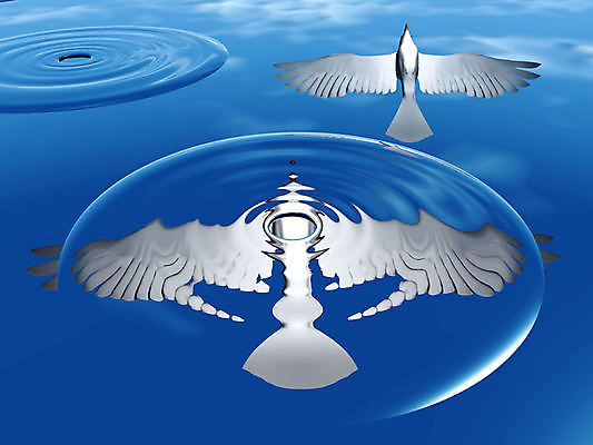 포토 JPG 해외이미지 호수 백그라운드 자연 조류 표면 추상 사람없음 물 여름 파란색 컬러풀 반사 거품 흰색 신선 투명 액체 해외202004 해외포토 자연요소 동물 계절 컬러 무늬 생태계 파일형식 이미지허브