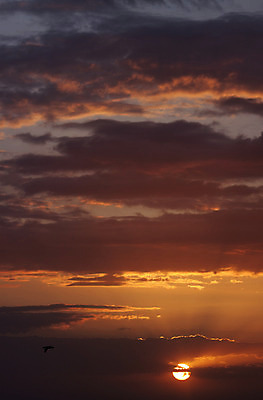 포토 JPG 해외이미지 구름 오렌지 자연 아침 풍경 사람없음 야외 빨간색 파란색 빛 반사 평화 황혼 새벽 황금 야간 저녁 만들기 장면 공상 수평선 해외202004 해외포토 주간 자연요소 컬러 컨셉 과일 모션 일몰 생태계 파일형식 이미지허브