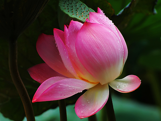 포토 JPG 해외이미지 사람없음 해외202004 해외포토 파일형식 이미지허브