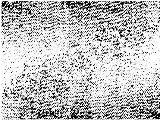 EPS 해외이미지 템플릿 디자인 포스터 종이 선 벽 백그라운드 패턴 일러스트 벽지 표면 추상 잉크 흑백 미술 그래픽 장식 세트 검은색 어둠 수확 골동품 바위 흰색 얼룩 거친 균열 우아함 인쇄 부식 질감 복고 먼지 그런지 엘리먼트 옛날 해외202004 해외일러스트 컬러 컨셉 무늬 농업 모션 문화예술 촬영기법 돌_바위 파일형식 벡터 이미지허브