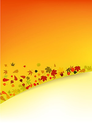 EPS 해외이미지 나무 식물 디자인 계절 백그라운드 단풍 잎 꽃무늬 패턴 오렌지 일러스트 자연 추상 따뜻함 미술 목재 그래픽 장식 빨간색 초록색 컬러풀 갈색 노란색 정원 가을 나뭇가지 신용카드 달콤 9월 11월 심볼 그림 10월 엘리먼트 잇몸 플라타너스 해외202004 해외일러스트 꽃 컬러 무늬 신체 과일 재료 문화예술 금융 날짜 맛 생태계 파일형식 벡터 이미지허브