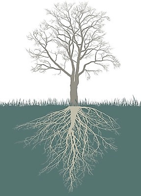 EPS 해외이미지 나무 계절 낙엽 겨울 일러스트 자연 성장 나뭇가지 고독 싱글 뿌리 호두 해외202004 해외일러스트 식물 감정 잎 견과류 생태계 파일형식 벡터 이미지허브