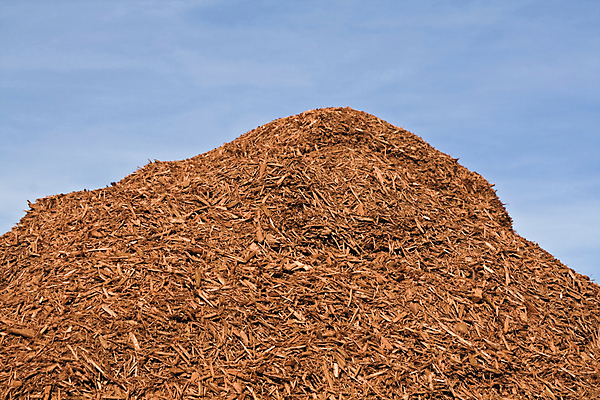 포토 JPG 해외이미지 주간 하늘 종류 사람없음 야외 목재 가로 쌓기 정원 흙 센터 원예 조경 나무껍질 모음 흙더미 해외202004 해외포토 자연요소 나무 재료 모션 취미 껍질 파일형식 더미 이미지허브