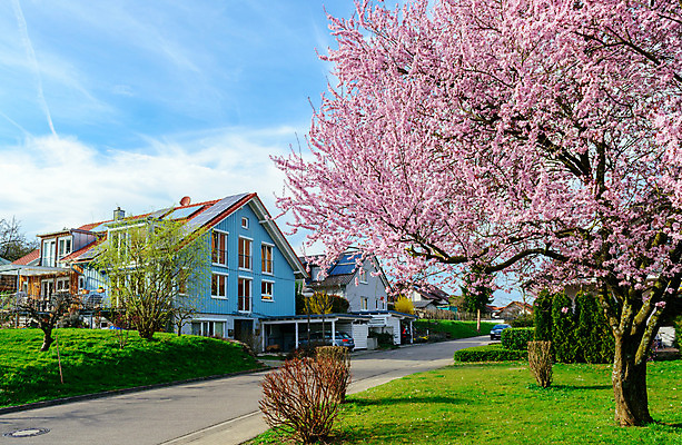포토 JPG 해외이미지 나무 디자인 외관 꽃 건축양식 창문 하늘 지붕 주택 독일 풍경 사람없음 야외 건물 목재 초록색 파란색 태양 갈색 힘 봄 재활용 벚꽃 흰색 판넬 개화 재산 갑판 손질 단계 제비 교외 스타일 해외202004 해외포토 자연요소 식물 건축물 계절 건축 유럽 컬러 배_교통 재료 조류 금융 친환경 파일형식 이미지허브