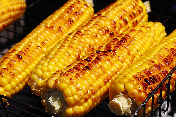 포토 JPG 해외이미지 음식 다이어트 채소 건강 옥수수 요리 사람없음 야외 여름 햇빛 소풍 갈색 노란색 식사 신선 황금 그릴 바비큐 굽기 준비 채식주의자 화상 해외202004 해외포토 계절 컬러 주방용품 곡류 태양 야외활동 상처 구이 채식 파일형식 이미지허브