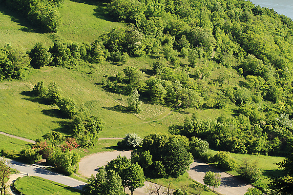 포토 JPG 해외이미지 나무 식물 도로 여행 백그라운드 밭 농업 자연 휴가 휴식 풍경 사람없음 야외 초록색 여름 강 농장 평화 환경 맑음 침묵 봄 시골 신선 숲 내추럴 평야 해외202004 해외포토 계절 산업 길 컬러 컨셉 교통시설 날씨 소리 생태계 파일형식 이미지허브
