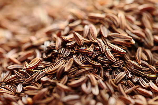 포토 JPG 해외이미지 스튜디오촬영 음식 백그라운드 컨셉 패턴 재료 아이디어 건조 요리 씨앗 동양인 사람없음 가로 약 갈색 쌓기 신선 뜨거움 양념 조미료 그룹 맛 소프트포커스 인도인 허브 향신료 유기농 질감 매움 날것 향기 아로마 향 생식 많음 해외202004 해외포토 외국인 식물 웰빙 컬러 무늬 의학 모션 촬영기법 실내 인종 냄새 향미료 파일형식 이미지허브