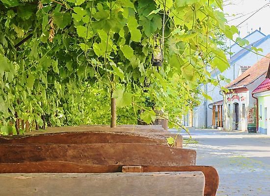 포토 JPG 해외이미지 나무 식물 계절 꽃 백그라운드 밭 농업 벤치 자연 탁자 포도 휴식 풍경 사람없음 야외 목재 초록색 여름 파란색 태양 농장 일출 와인 정원 계곡 맑음 일몰 봄 수확 가을 흰색 시골 다발 언덕 포도밭 포도나무 양조장 옛날 해외202004 해외포토 자연요소 산업 컬러 가구 컨셉 의자 과일 재료 날씨 주류 노을 과일나무 생태계 파일형식 이미지허브