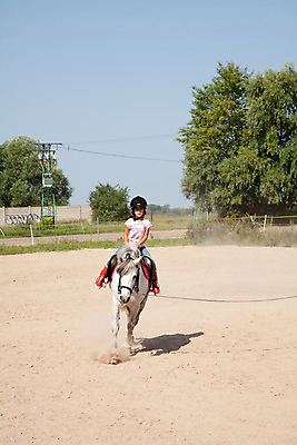 포토 JPG 해외이미지 동물 여자 스포츠 농업 가족 수업 생물 건강 한명 안전 사람 야외 농장 가축 흰색 승마 승차 헬멧 작음 조랑말 해외202004 해외포토 1 교육 산업 컬러 관계 모션 말_동물 보호장비 크기 파일형식 이미지허브