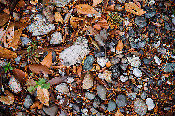 포토 JPG 해외이미지 식물 여행 잎 자연 하늘 휴가 거리 풍경 사람없음 야외 초록색 빛 태양 갈색 일본 바위 도쿄 방문 해외202004 해외포토 자연요소 아시아 컬러 돌_바위 생태계 파일형식 이미지허브