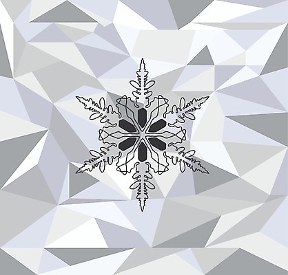 EPS 해외이미지 전통 디자인 계절 행복 별 백그라운드 크리스마스 겨울 패턴 일러스트 자연 유리 추상 휴가 새로움 미술 그래픽 장식 빛 얼음 축제 추위 흰색 축하 인사 신용카드 눈송이 연도 내추럴 폭설 눈내림 해외202004 해외일러스트 자연요소 기념일 감정 컬러 컨셉 무늬 재질 문화예술 눈_날씨 금융 예절 자연재해 생태계 파일형식 벡터 이미지허브