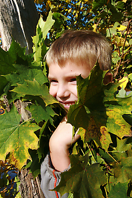 포토 JPG 해외이미지 나무 1 계절 공원 행복 아들 어린이 이동 단풍 잎 생각 가족 자연 한명 미소 웃음 앉기 소년 야외 초록색 금발 햇빛 머리 평화 가을 흰색 시골 황금 숲 명상 쉬는시간 해외202004 해외포토 식물 헤어스타일 공공시설 남자 감정 컬러 컨셉 관계 모션 휴식 표정 사람 신체부위 태양 생태계 파일형식 이미지허브