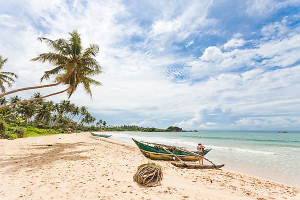 포토 JPG 해외이미지 구름 여자 아시아 모래 바다 여행 자연 하늘 낚시 휴가 한명 풍경 물 여름 야자수 햇빛 여행객 평화 맑음 만 그물 순수 즐거움 카누 천국 빛망울 내추럴 스리랑카 해외202004 해외포토 자연요소 나무 1 계절 감정 나라 컨셉 레저 날씨 사람 빛 태양 수상스포츠 생태계 파일형식 이미지허브