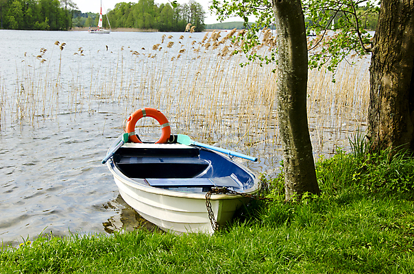 포토 JPG 해외이미지 나무 호수 밧줄 바다 여행 교통시설 자연 하늘 낚시 휴가 경비 안전 풍경 사람없음 야외 목재 빨간색 물 여름 강 수영 장비 반지 도움 원형 보트 보호 오브젝트 보안 함선 부표 구명용품 뱃놀이 헬프 생존 해외202004 해외포토 자연요소 도형 식물 계절 줄 컬러 교통 컨셉 배_교통 재료 장신구 레저 전통놀이 수상스포츠 안전장비 시설 생태계 파일형식 이미지허브