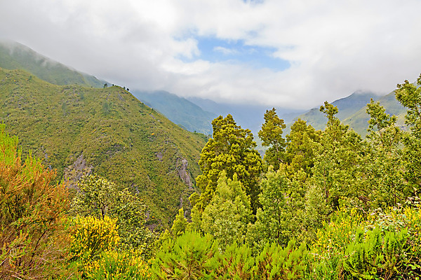 포토 JPG 해외이미지 나무 식물 구름 유럽 섬 여행 자연 하늘 산 풍경 경사 사람없음 야외 초록색 파란색 와인 골짜기 계곡 침묵 하이킹 시골 신선 황무지 숲 열대우림 포르투갈 언덕 그림 장면 지역 대서양 동물상 아열대 양치류 해외202004 해외포토 자연요소 나라 바다 컬러 레저 주류 조형물 소리 생태계 파일형식 이미지허브