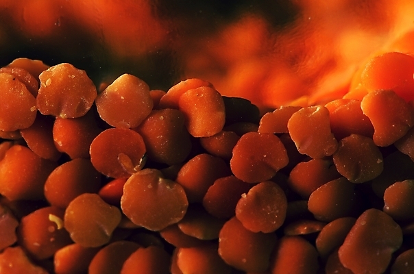 포토 JPG 해외이미지 식물 음식 백그라운드 패턴 농업 다이어트 채소 오렌지 재료 자연 콩 건조 건강 요리 씨앗 사람없음 빨간색 농작물 노란색 쌓기 흰색 닫기 맥박 수프 먹기 묘사 유기농 질감 완두콩 날것 리빙 흙더미 내추럴 고립 단백질 생식 채식주의자 비건 해외202004 해외포토 웰빙 산업 컬러 무늬 과일 의학 모션 곡류 흙 생태계 채식 영양소 파일형식 더미 이미지허브