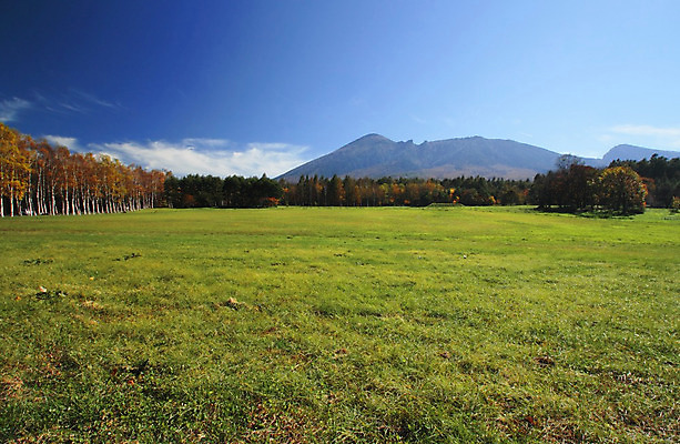 포토 JPG 해외이미지 나무 식물 계절 아시아 잎 자연 산 풍경 사람없음 야외 목재 컬러풀 노란색 일본 가을 숲 수평선 해외202004 해외포토 나라 컬러 재료 생태계 파일형식 이미지허브