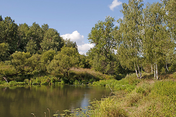 포토 JPG 해외이미지 나무 식물 호수 여행 잎 자연 지팡이 하늘 낚시 갈대 풍경 사람없음 야외 목재 초록색 물 여름 파란색 강 햇빛 반사 환경 맑음 침묵 시골 만 개울 습지 숲 강가 시원함 러시아 해외202004 해외포토 자연요소 계절 유럽 컬러 재료 레저 날씨 태양 소리 생태계 파일형식 이미지허브