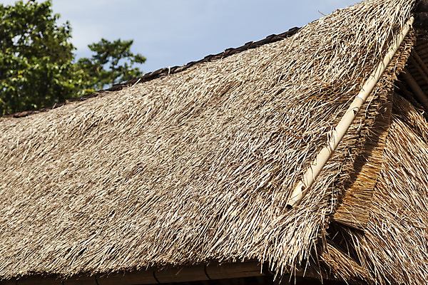 포토 JPG 해외이미지 나무 하늘 지붕 건조 사람없음 건물 초록색 파란색 갈색 닫기 볏짚 발리 인도네시아 밀짚 해외202004 해외포토 식물 건축물 아시아 컬러 섬 모션 짚 파일형식 이미지허브