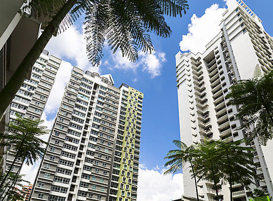 포토 JPG 해외이미지 나무 외관 공원 건축양식 자동차 하늘 부동산 새로움 아파트 주택 사람없음 건물 가로 초록색 파란색 정원 고층빌딩 블록 도시 재산 큼 콘도 타운 리빙 이웃 싱가폴 대여 대출 개발 스타일 많음 해외202004 해외포토 식물 건축물 공공시설 건축 아시아 육상교통 컬러 컨셉 숙소 빌딩 금융 크기 파일형식 이미지허브