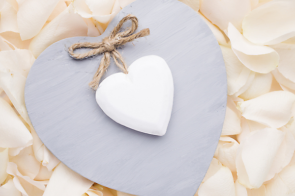 포토 JPG 해외이미지 디자인 꽃잎 컨셉 사랑 사람없음 하트 축하 해외202004 해외포토 모양 꽃 감정 파일형식 이미지허브