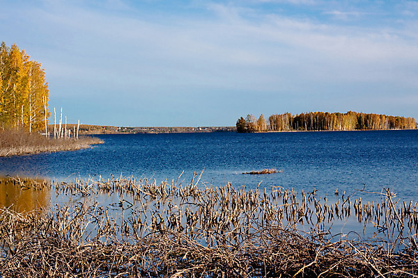 포토 JPG 해외이미지 나무 구름 호수 자연 하늘 풍경 사람없음 야외 건물 가로 물 파란색 노란색 평화 마을 침묵 자유 가을 나뭇가지 황금 숲 관목 타운 자작나무 해외202004 해외포토 자연요소 식물 건축물 계절 컬러 컨셉 소리 도시 생태계 파일형식 이미지허브