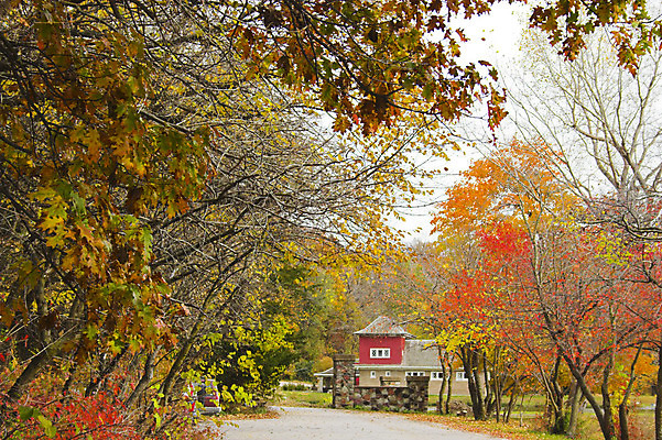 포토 JPG 해외이미지 나무 계절 도로 단풍 잎 오렌지 자국 자연 하늘 휴식 따뜻함 사람없음 빨간색 파란색 빛 노란색 평화 정원 가을 시원함 해외202004 해외포토 식물 길 컬러 컨셉 과일 교통시설 생태계 파일형식 이미지허브