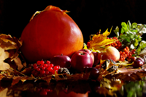 포토 JPG 해외이미지 전통 계절 음식 잎 과일 자연 호박 검은배경 휴가 건강 요리 씨앗 사람없음 식사 수확 가을 축하 떨어짐 사과 11월 먹기 박 성분 추수감사절 10월 포상금 많음 해외202004 해외포토 식물 기독교 백그라운드 컨셉 돈 농업 채소 모션 검은색 날짜 생태계 파일형식 이미지허브