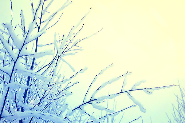 포토 JPG 해외이미지 나무 계절 공원 여행 백그라운드 크리스마스 겨울 자연 벽지 하늘 날씨 휴가 새로움 산 풍경 사람없음 야외 목재 초록색 파란색 햇빛 태양 우주 맑음 냉동 얼음 추위 흰색 나뭇가지 소나무 숲 12월 연도 서리 장면 전나무 1월 눈내림 가문비나무 해외202004 해외포토 자연요소 식물 공공시설 기념일 컬러 컨셉 재료 눈_날씨 날짜 생태계 파일형식 이미지허브