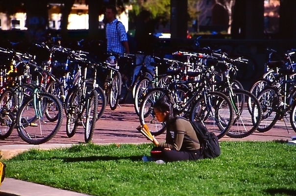 포토 JPG 해외이미지 교육 여행 사람없음 미국 도시 대학교 캘리포니아 샌프란시스코 해외202004 해외포토 북아메리카 학교 파일형식 이미지허브