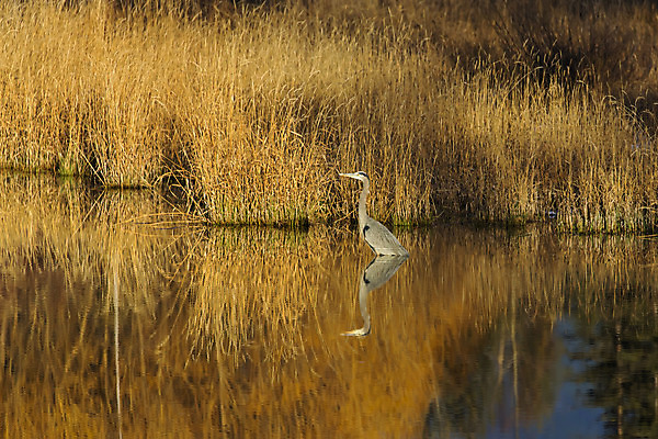 포토 JPG 해외이미지 나무 구름 자연 하늘 아침 스키 산 사람 풍경 사람없음 야외 물 여름 파란색 빛 햇빛 반사 일출 계곡 얼음 고요 새벽 하이킹 추위 황무지 배낭여행 속도 빙하 암초 스카이라인 안장 오로라 돌무덤 루트 절정 해외202004 해외포토 주간 자연요소 식물 계절 컬러 여행 자연현상 레저 겨울스포츠 태양 노을 무덤 생태계 파일형식 이미지허브