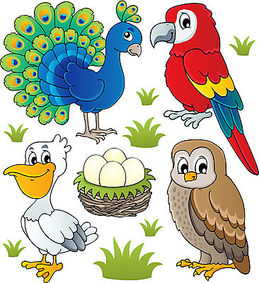 EPS 해외이미지 클립아트 동물 디자인 응시 행복 날개 일러스트 자연 조류 동물원 미술 그래픽 세트 계란 그리기 둥지 공작 만화 수집 펠리컨 깃털 그림 꼬리 부리 앵무새 부엉이 고립 동물상 엘리먼트 해외202004 해외일러스트 시선 감정 모션 문화예술 조형물 알 생태계 파일형식 벡터 이미지허브