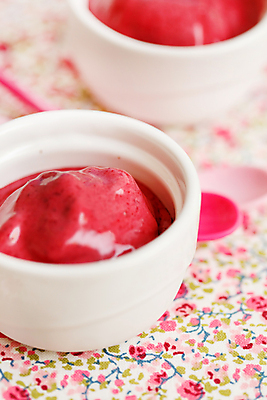 포토 JPG 해외이미지 열매 음식 다이어트 과일 아이스크림 디저트 사람없음 숟가락 냉동 추위 신선 닫기 맛 크림 상쾌 유기농 냅킨 블루베리 산딸기 블랙베리 셔벗 채식주의자 핸드메이드 해외202004 해외포토 식물 웰빙 감정 컨셉 모션 수저 건강 채식 파일형식 이미지허브