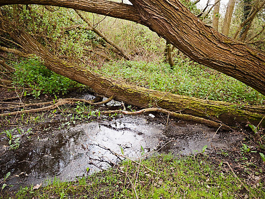 포토 JPG 해외이미지 나무 식물 공원 여행 백그라운드 잎 모션 자연 산 이끼 풍경 사람없음 야외 목재 초록색 물 여름 빛 강 평화 환경 침묵 봄 폭포 젖음 흐름 가을 바위 신선 개울 황무지 떨어짐 숲 내추럴 그리너리 해외202004 해외포토 자연요소 계절 공공시설 컬러 컨셉 재료 소리 돌_바위 생태계 파일형식 트랜드컬러 이미지허브