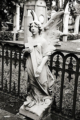 포토 JPG 해외이미지 종교 십자가 천사 요정 잔디 사람없음 조각상 믿음 할로윈 죽음 무덤 묘사 천연기념물 고딕 로마인 보호구역 신앙심 장례식 해외202004 해외포토 식물 감정 인종 조형물 구역 파일형식 이미지허브